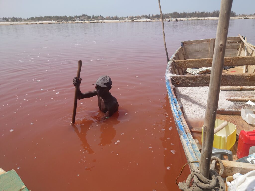 セネガル　ダカールのバラ色の湖「ラックローズ」