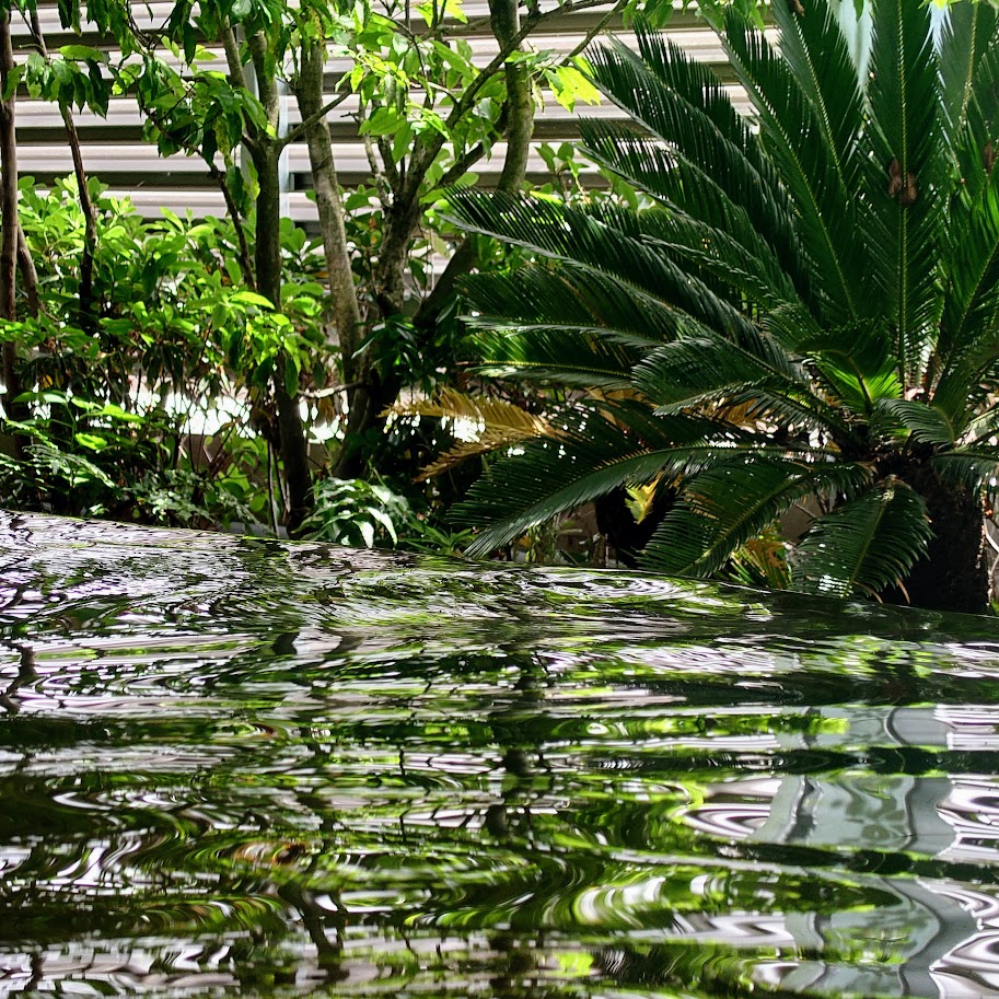 シェラトン鹿児島の温泉の露天風呂　緑が湯に映って美しい。