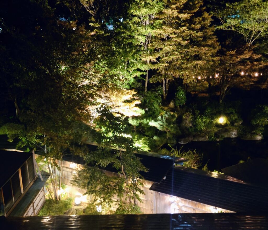 水上温泉「松乃井」露天風呂付客室のテラスから見えるライトアップされた庭園