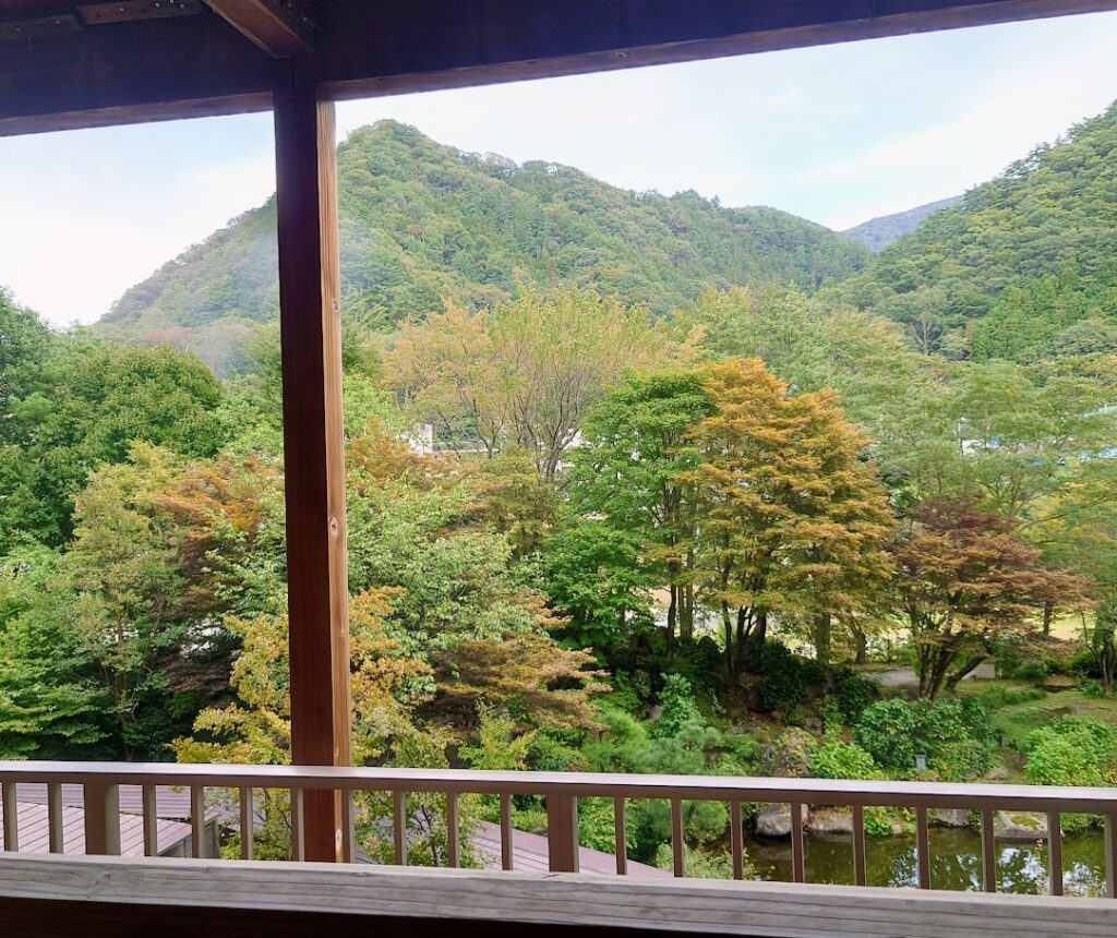 水上温泉「松乃井」露天風呂付客室　露天風呂から遠くの山までよく見える