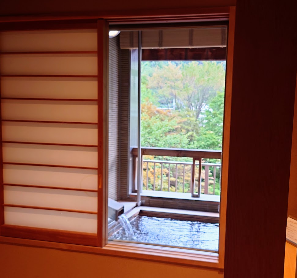 水上温泉「松乃井」露天風呂付客室の部屋の窓から見た露天風呂