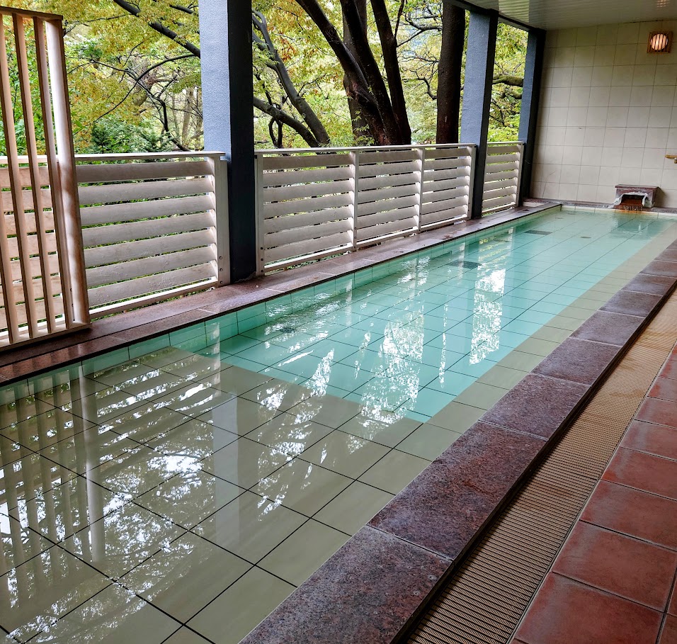 水上温泉「松乃井」の大浴場「月あかりの湯」の露天風呂は、横に長い長方形