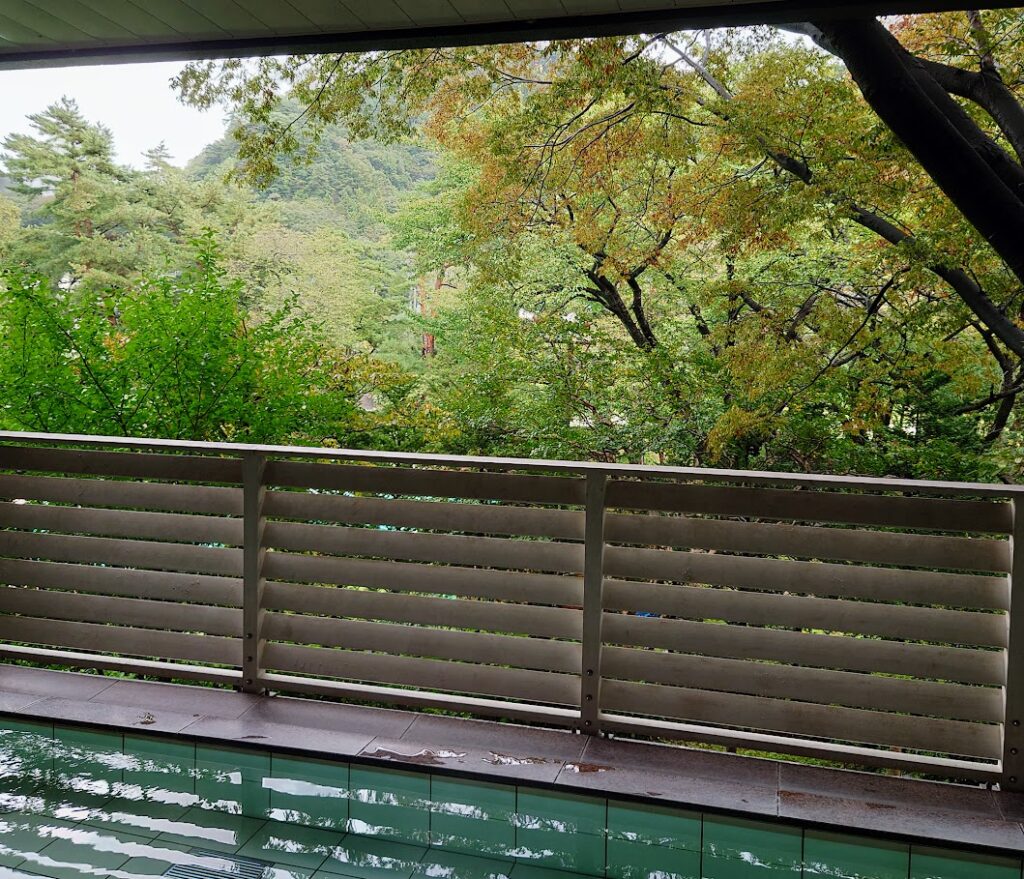 水上温泉「松乃井」の大浴場「月あかりの湯」の露天風呂からは、美しい緑が見える