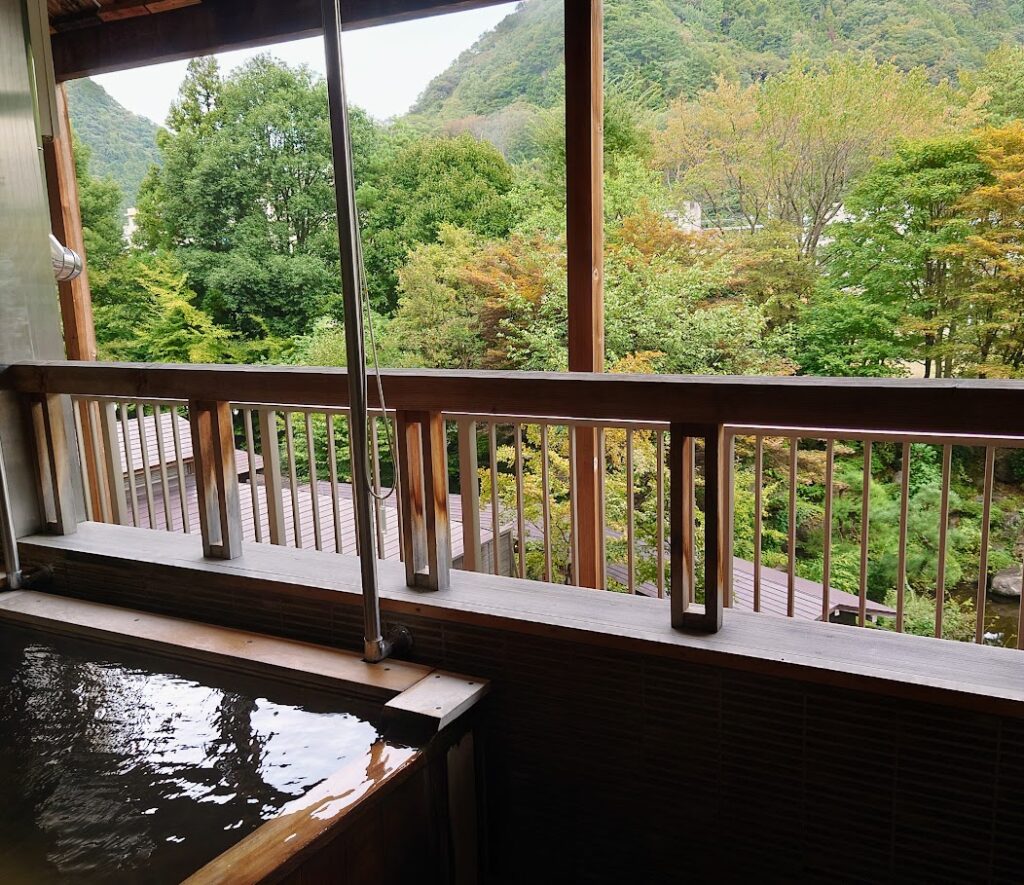 水上温泉「松乃井」露天風呂付客室　大きな窓枠から緑の壮大な景色が見える
